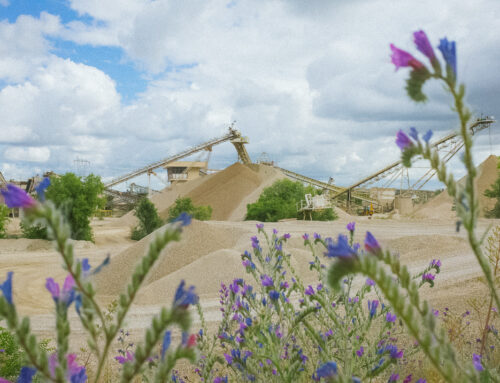 Ministerio de Industria: nueva convocatoria de ayudas del PERTE de Descarbonización