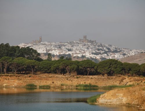 Nueva guía europea para la aplicación de la normativa de aguas en proyectos de materias primas minerales